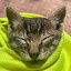 author photo