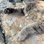 author photo