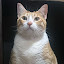 author photo