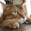 author photo