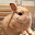 @Blue4525-h6k