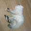 author photo