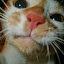 author photo