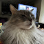 author photo