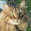 author photo