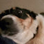author photo