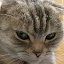 author photo