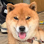 author photo