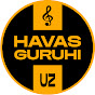 HAVAS guruhi