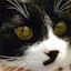author photo