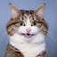 author photo