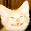 author photo