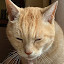 author photo