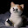 @Mato123-p9l