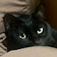 author photo
