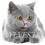 SYL_Vester the cat