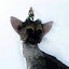author photo