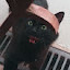 author photo