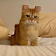 author photo