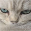 author photo