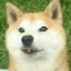 author photo
