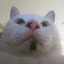 author photo