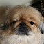 author photo