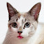 author photo