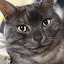 author photo