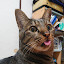 author photo