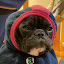 author photo