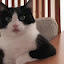 author photo