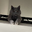 author photo