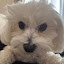 author photo