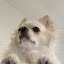 author photo