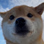 author photo