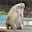 @たまもと-256
