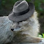 author photo