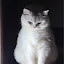 author photo
