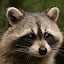 author photo