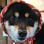 author photo