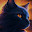 @F14-トムねこ