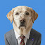 author photo