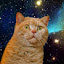 author photo