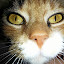 author photo