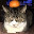 @猫派-e4i