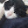 @くじら-v9s