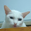 author photo