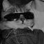 author photo