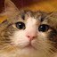 author photo